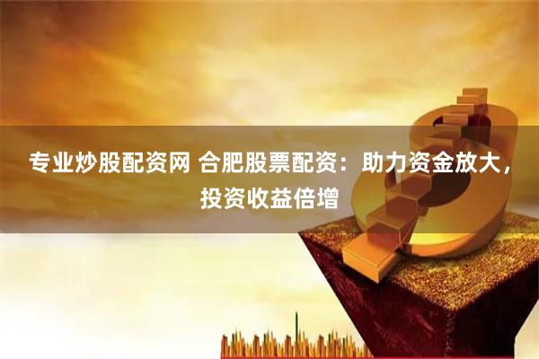 专业炒股配资网 合肥股票配资：助力资金放大，投资收益倍增