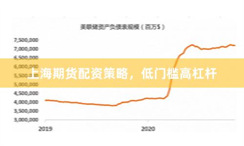 上海期货配资策略，低门槛高杠杆