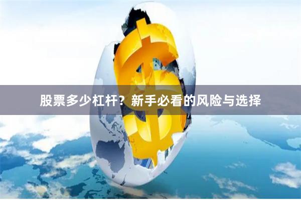 股票多少杠杆？新手必看的风险与选择
