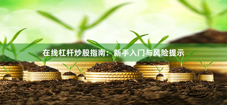 在线杠杆炒股指南:新手入门与风险提示