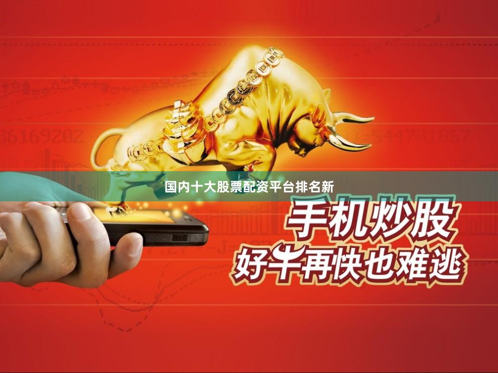 国内十大股票配资平台排名新