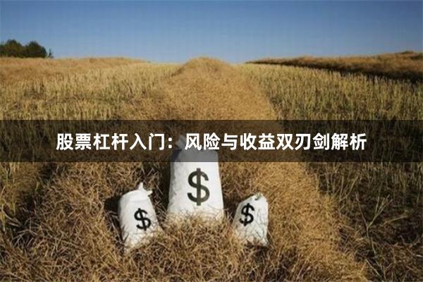 股票杠杆入门：风险与收益双刃剑解析